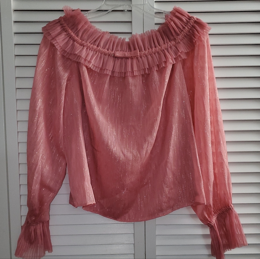 RyeGrass Elegant Pink Ruffled Women's Top Size M-  NWT